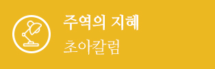 주역의 지혜 초아칼럼